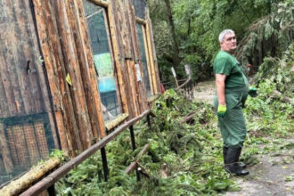 gradina zoologica bucuresti inchisa temporar din cauza furtunii de ieri care este starea animalelor 687bf63192e11