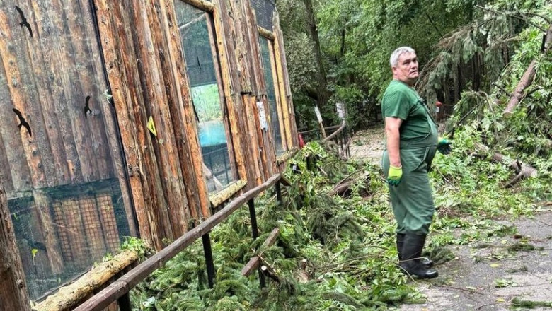 Grădina Zoologică din București este închisă provizoriu din cauza furtunii de ieri. Cum se simt animalele? 1 gradina zoologica bucuresti inchisa temporar din cauza furtunii de ieri care este starea animalelor 687bf63192e11