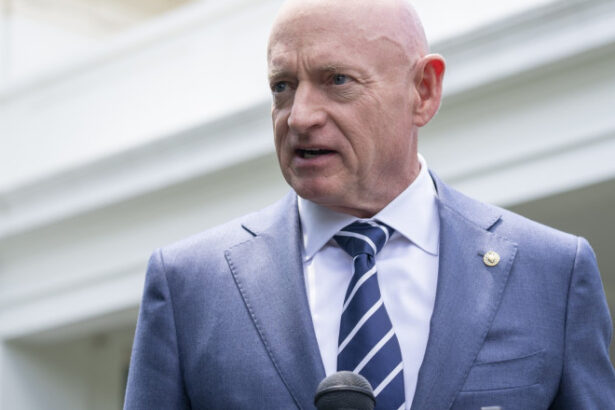 ionut mosteanu s a intalnit cu mark kelly membru al comisiei pentru forte armate in senatul sua ce au discutat cei doi 6866db1908a5d