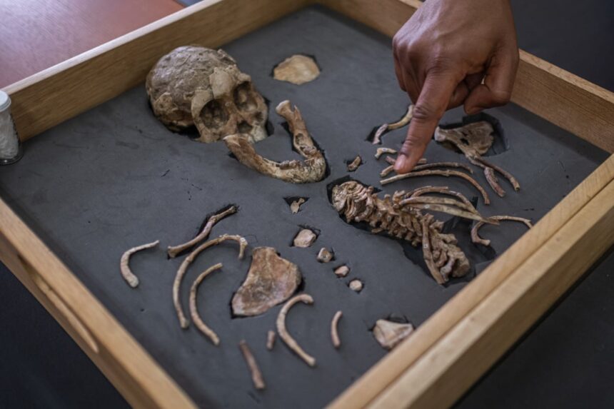 its always been some white dude how ethiopia became the world leader in uncovering the story of humankind 687744e8dd7e0