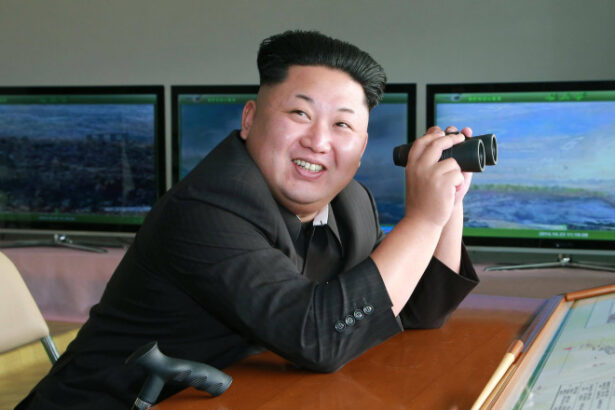 kim jong un continua sa il aprovizioneze pe vladmir putin cate dintre obuzele trase in ucraina sunt din coreea de nord 687166a8d4a2d