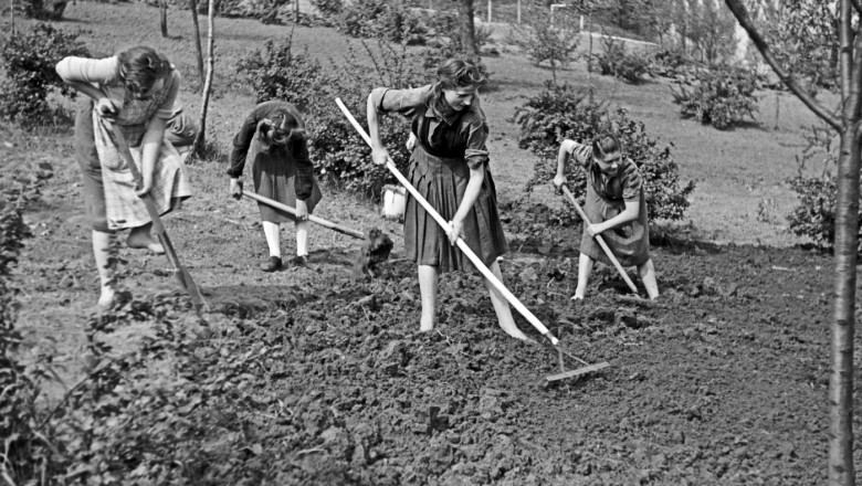 Conflicte între landurile germane privind debutul vacanței de vară pentru elevi: provocările unui sistem complex de vacanțe prin rotație. 1 landurile germaniei nu cad de acord asupra inceperii vacantei de vara pentru elevi complicatul sistem german de vacanta prin rotatie 6878781ce5403