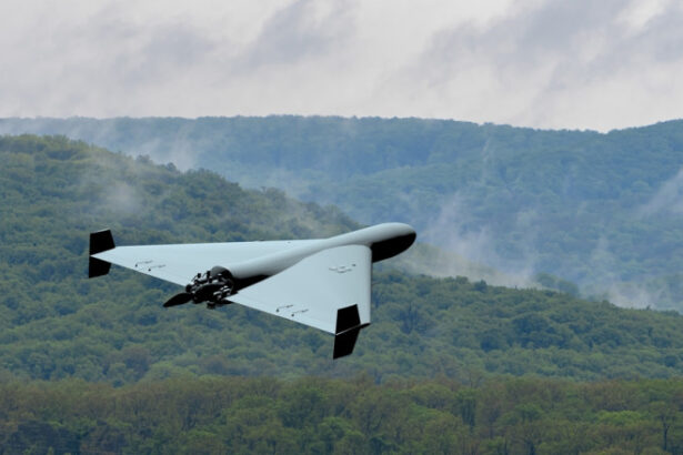 lituania ar putea inchide partial spatiul aerian dupa ce drona venita dinspre belarus nu a fost inca gasita 688a5be1a8bd7