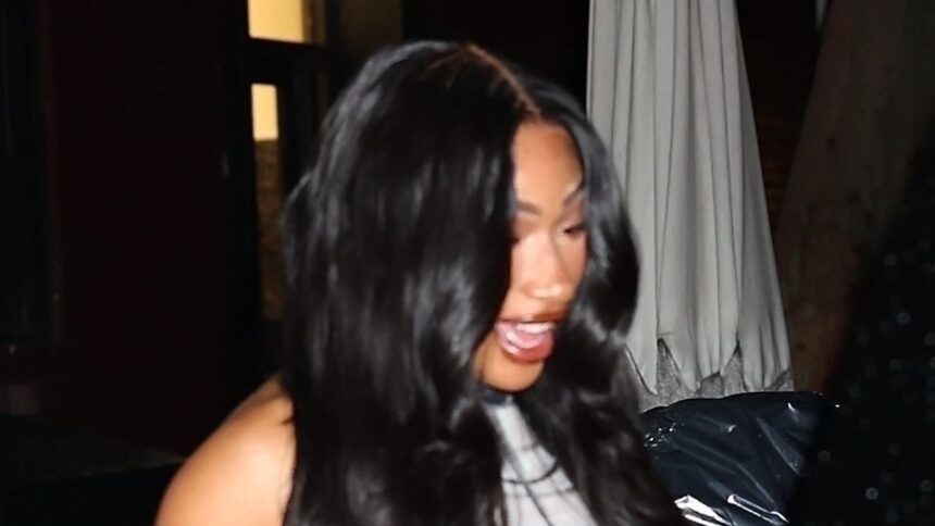 Megan Thee Stallion își oficializează relația cu atrăgătorul star din NBA, Klay Thompson, într-o seară romantică la New York. 1 megan thee stallion confirms romance with hunky nba star klay thompson on romantic night out in nyc 687841fa754ce