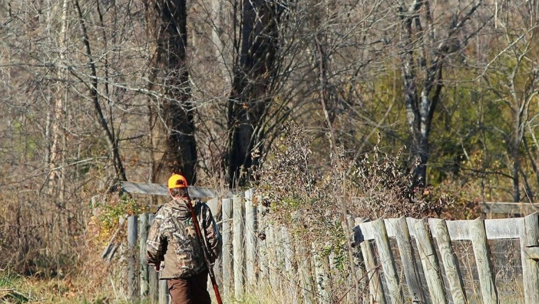 Ministra Mediului propune drone și camere pentru pădurari: „Încrederea oamenilor s-a pierdut”. Ce alte defrișări sunt planificate la Romsilva? 1 ministra mediului vrea drone si camere video pentru padurari oamenii nu mai au incredere ce alte taieri vor fi la romsilva 688249c7c5e10