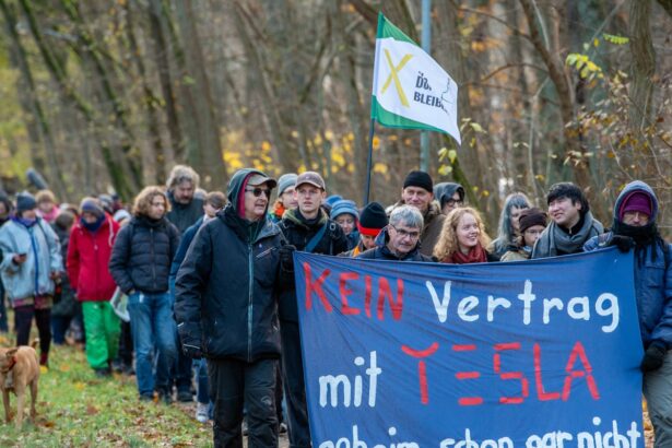 musks giant tesla factory casts shadow on lives in a quiet corner of germany 68751e651ad95