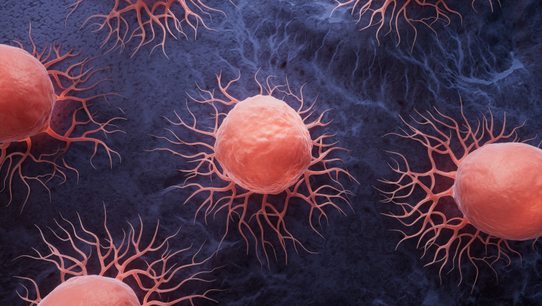 O descoperire fascinantă: cum o schimbare genetică discretă ne expune riscului de cancer. Analiza cercetătorilor și comparația cu alte primate. 1 mutatia genetica subtila care i face pe oameni vulnerabili la cancer explicatia cercetatorilor si comparatia cu alte primate 6870b0c67cb52