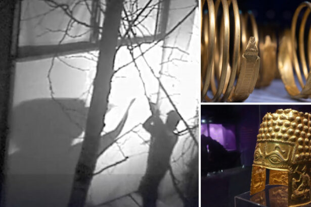 noi audieri in cazul furtului coifului de la cotofenesti si al bratarilor dacice din olanda date din ancheta 6889eafd126bb