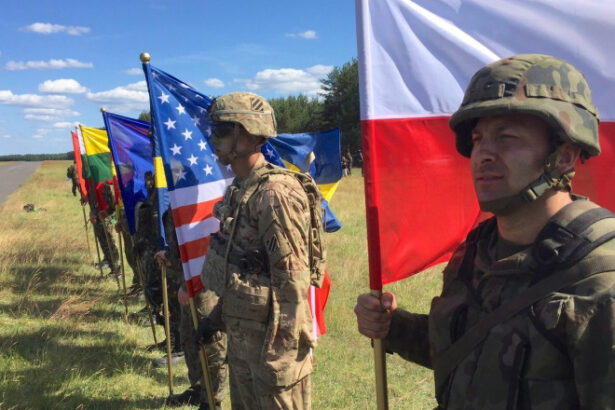 noul obiectiv pentru aparare al nato o misiune imposibila pentru tarile europene e complet iluzoriu avertizeaza expertii 687f0e6fd796e