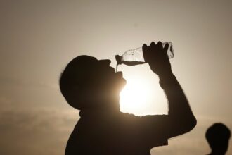 political cowardice hindering europes climate efforts says eus green chief 6864d9d01229e