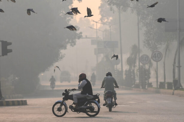 poluarea aerului asociata cu mutatii adn care favorizeaza cancerul pulmonar tot mai multi nefumatori diagnosticati 6869f5a6a569d