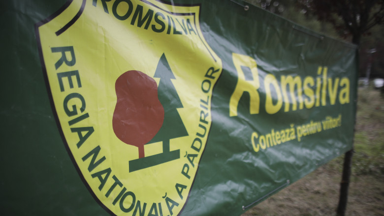 Reorganizarea Romsilva intră în discuție: Anunțul ministrei Mediului, după consultările cu Nicușor Dan. 1 proiectul de hotarare privind reorganizarea romsilva pus joi in dezbatere anunta ministra mediului dupa o discutie cu nicusor dan 68814ea019d4b