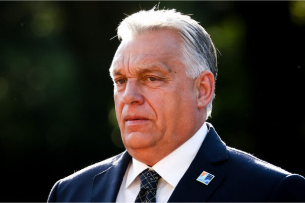 regimul lui viktor orban risca sa se prabuseasca din cauza starii precare a economiei ungaria este prinsa intr un cerc vicios 68845d03c6e84