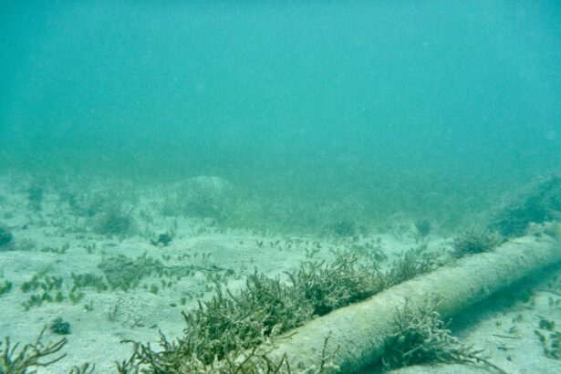 risk of undersea cable attacks backed by russia and china likely to rise report warns 6878fb4d04d3f