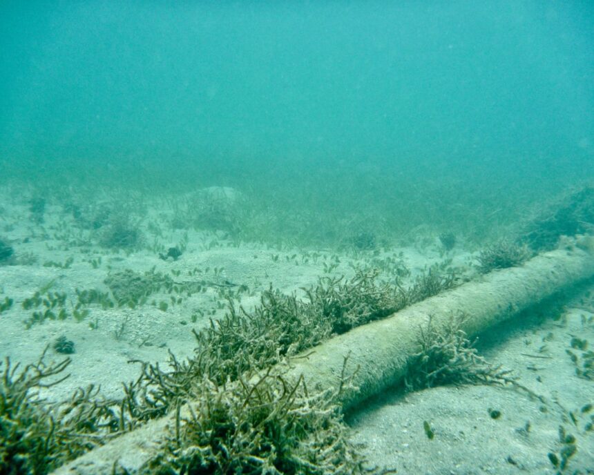 Crește amenințarea atacurilor asupra cablurilor subacvatice susținute de Rusia și China, avertizează un raport. 1 risk of undersea cable attacks backed by russia and china likely to rise report warns 6878fb4d04d3f