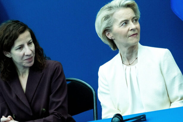 roxana minzatu nemultumita de planul bugetar al ursulei von der leyen sefa ce face concesii ca sa evite o revolta interna 6876123c5cb7a