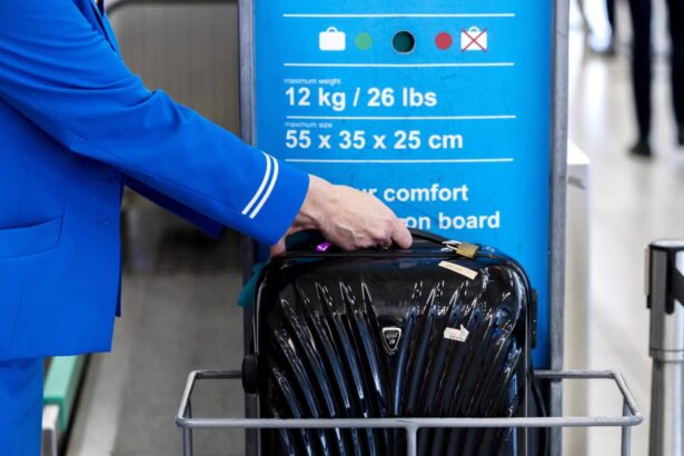 ryanair weighs up increasing bonus to staff for intercepting oversized luggage 687e529f7e620