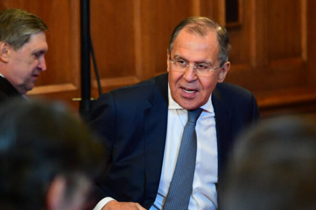 serghei lavrov vrea ca viktor orban sa colaboreze cu rusia in protejarea minoritatilor nationale din ucraina 686bfb397881b