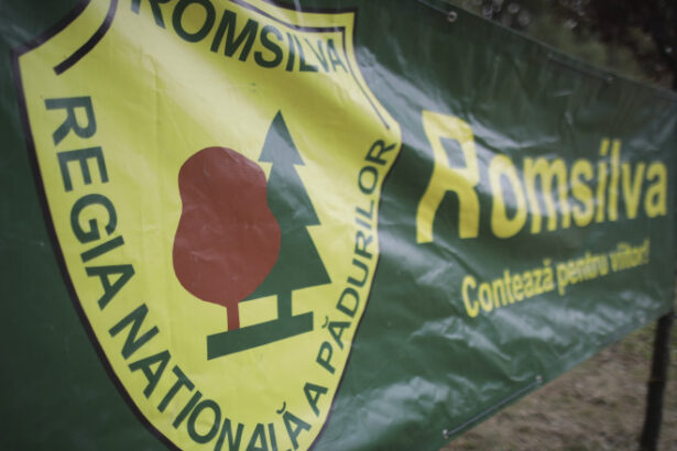 sindicalistii din silvicultura reorganizarea romsilva nu se poate realiza unilateral fara o consultare reala cu actorii implicati 68752360328a3