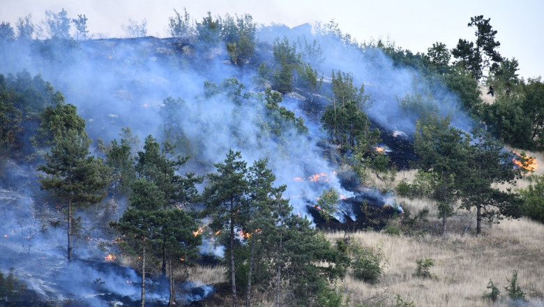 Alertă maximă în Macedonia de Nord din cauza incendiilor devastatoare de pădure. 1 stare de urgenta in macedonia de nord din cauza incendiilor de padure 686e164e71d4b