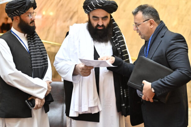 talibanii si au numit ambasador la moscova relatiile dintre cele doua tari se vor intari in domeniile politic si economic 6865690cda6b6