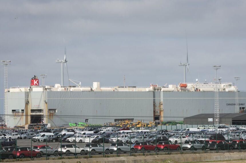 Mii de vehicule blocate în porturile europene din cauza efectelor tarifelor impuse de Trump. 1 thousands of vehicles sit idle at eu port as trumps tariffs leave their mark 687625e26d001