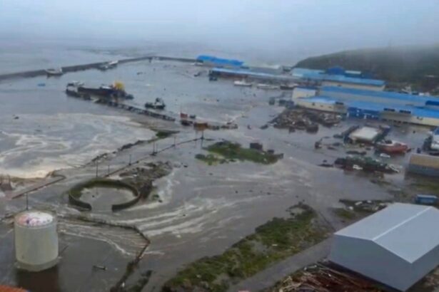 thursday briefing how global preparedness prevented a tsunami tragedy 688b2bb80feec