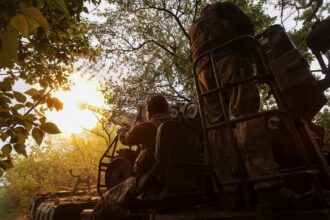 trump expected to deliver weapons to ukraine through nato allies 6871de9bb7935