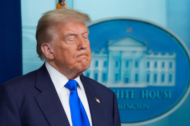 trump se da neutru ii cere lui zelenski sa nu atace moscova si lui putin sa accepte un armistitiu rachete patriot pe drum spre kiev 687753aacbf18