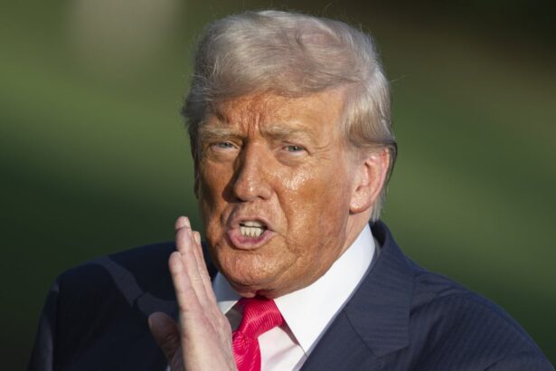 trump threatens to impose drug and chip tariffs as soon as 1 august 68777b22c99aa