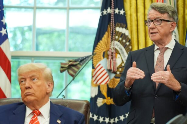 trumps 10 tariff on most uk goods here to stay says lord mandelson 6873940509c24