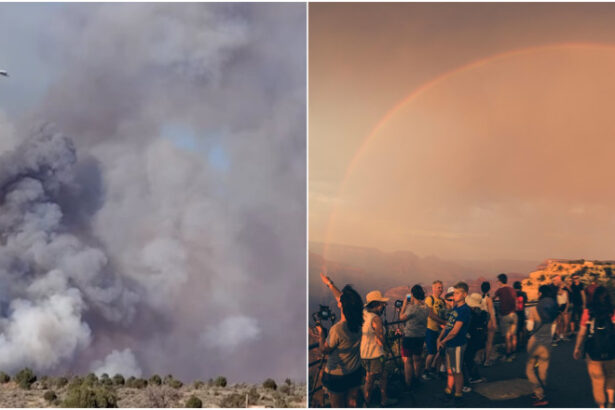turisti evacuati din marele canion incendiu puternic provocat de un fulger alerta de canicula peste 46c la umbra in north rim 68716eff532e4
