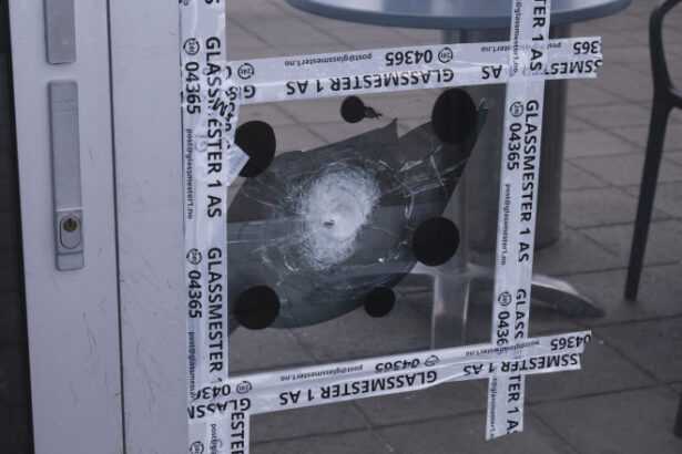 un barbat a fost arestat dupa incidentul armat de sambata intr un mall din oslo 687d21c9d3ef5