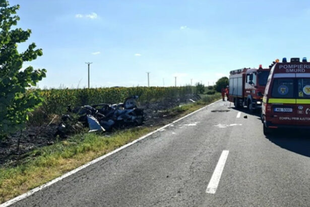 video accident mortal in teleorman o masina si o duba s au ciocnit violent dupa impact un autoturism a luat foc 686f7eaa13b6f