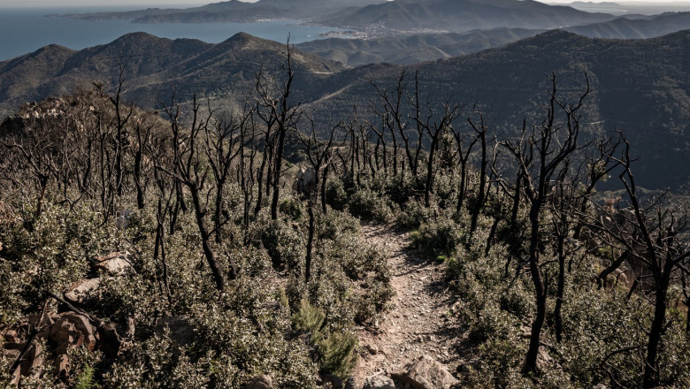 Impactul schimbărilor climatice asupra incendiilor de vegetație din Europa: 230.000 de hectare transformate în cenușă în doar 6 luni. 1 video cum alimenteaza schimbarile climatice incendiile de vegetatie din europa aproape 230 000 de hectare facute scrum in decursul a 6 luni 6877319f84eab