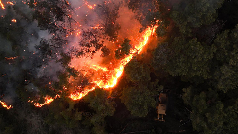 Flăcările necruțătoare au mistuit 3% din pădurile Siriei, iar Damascul solicită sprijinul UE pentru a combate incendiile. 1 video incendiile devastatoare au distrus 3 din padurile siriei damascul a cerut ajutorul ue pentru a opri focarele 686d1335bafd4