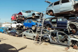 video ministrul mediului diana buzoianu anunta cand porneste programul rabla ce spune despre casa verde trebuie analizat foarte atent 68827ade297b3