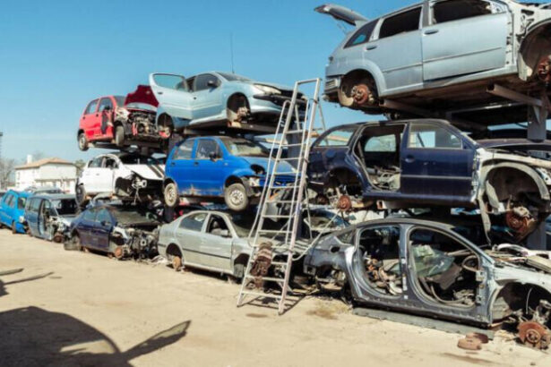 video ministrul mediului diana buzoianu anunta cand porneste programul rabla ce spune despre casa verde trebuie analizat foarte atent 68827ade297b3