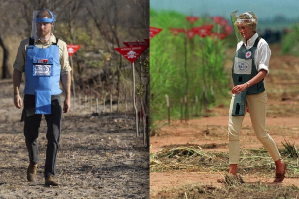 video printul harry pe urmele mamei sale diana a participat la o actiune de dezamorsare a minelor terestre din angola 6878a3f0b30d0