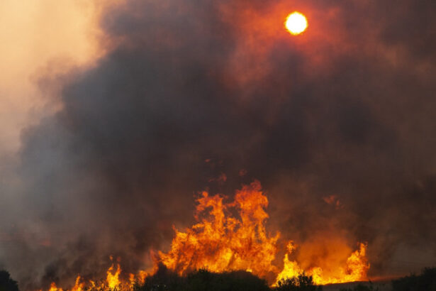 video romania trimite un elicopter black hawk in bulgaria sunt peste 100 de incendii de vegetatie in tara vecina 688724ad0045d