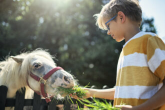 video sunt apatice sau mai nervoase canicula afecteaza si animalele de la zoo de ce tratament special au parte in aceste zile toride 6881b407de0e2