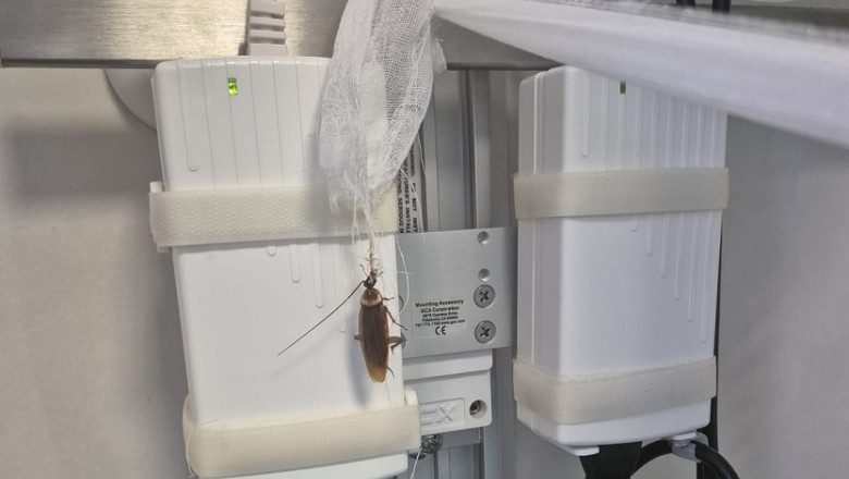 Imagini șocante cu gândaci în Centrul de Arși de la Floreasca; Ministerul Sănătății demarează controale 1 videofoto imagini revoltatoare cu gandaci la centrul de arsi de la floreasca ministerul sanatatii face verificari 68873fb21c900