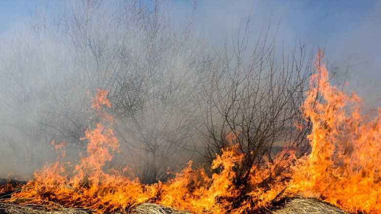 Flăcări devastatoare în apropierea Marelui Canion din SUA: clădiri mistuite de incendiu. 1 videofoto incendiu de vegetatie in zona marelui canion din sua mai multe cladiri au ars din temelii 6874b41813f7c