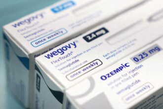 wegovy maker novo nordisks shares plunge as it cuts sales forecast 6888cfe79eb62