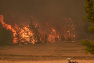 wildfire kills at least 10 forest workers and rescuers battling blaze in turkey 6881b0776f863