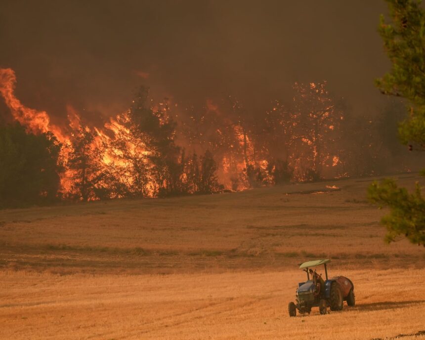 Incendiu devastator în Turcia: Zece lucrători forestieri și salvatori și-au pierdut viața în lupta cu flăcările. 1 wildfire kills at least 10 forest workers and rescuers battling blaze in turkey 6881b0776f863