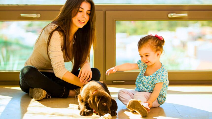 women who cant stand their pets after having children usually have these 11 reasons 68727262731e9