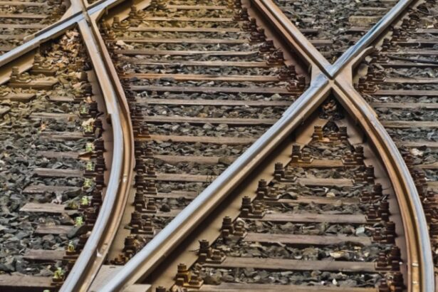 accident cumplit pe calea ferata un om a murit mai multe trenuri blocate si intarzieri in lant 68b45abd2f6d1