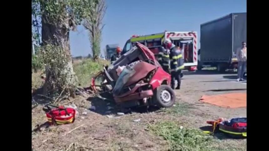 Coliziune devastatoare în Ilfov: doi bărbați, în stare de inconștiență, după ce autoturismul a lovit un copac 1 accident grav in ilfov doi barbati inconstienti dupa ce masina s a izbit de un copac 68af2a54d5b32