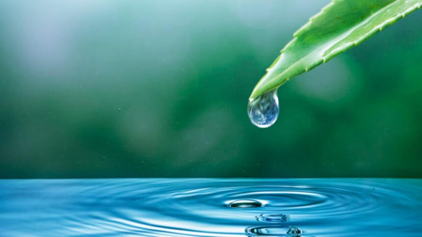 „Apa, o resursă valoroasă: cum devine tot mai costisitoare, conform unui expert” 1 apa devine o moneda si va fi tot mai scumpa explicatia unui oficial cu privire la aceasta schimbare dramatica 68a6f17647f23